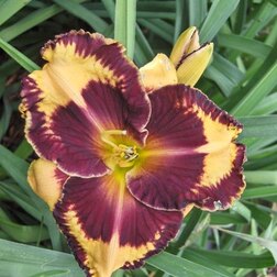 ������ ������ �������� ��������� ������ ������   ����