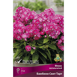 ������ ������ ����� ����������� ������� ���� ����   ����