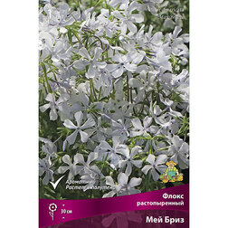 ������ ������ ����� ������������� ��� ����   ����