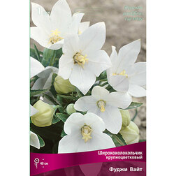 ������ ������ ����������������� ��������������� ����� ����   ����