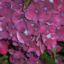 ������ ������ ��������� �������������� ���������   ����