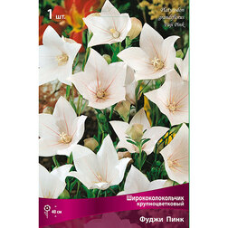 ������ ������ ����������������� ��������������� ����� ����   ����