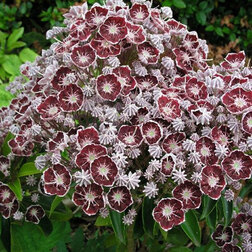 ������ ������ ������� ������������� ���   ����