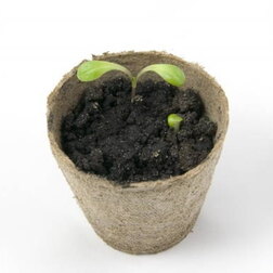 ������ ������ ������ �������� (110�100)   ����