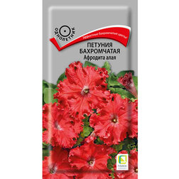 ������ ������ ������� ����������� �������� ����   ����