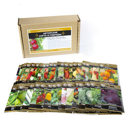 ������ ������ ����� ����� 