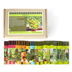 ������ ������ ����� ����� 