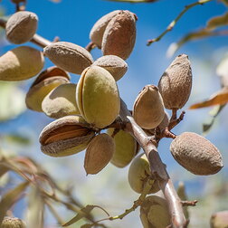 ������ ������ ������� ��������� 62 (������ �����) (� �����)   ����