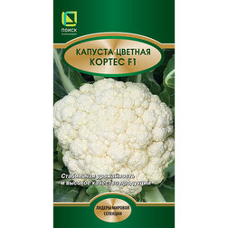 ������ ������ ������� ������� ������ F1   ����