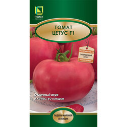 ������ ������ ����� ����� F1   ����