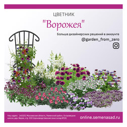 ������ ������ ����� ����� ��� �������� �������� 