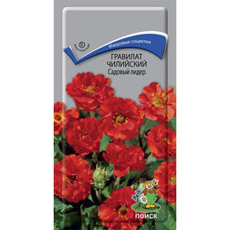 ������ ������ �������� ��������� ������� �����   ����