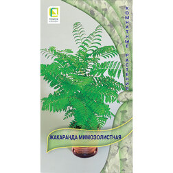 ������ ������ ��������� �������������   ����