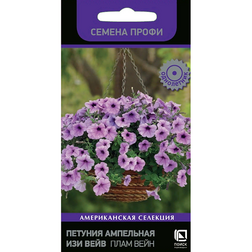 ������ ������ ������� ��������� ��� ���� ���� ���� (������ �����)   ����