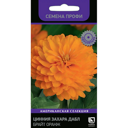 ������ ������ ������ ������ ���� ����� ����� (������ �����)   ����