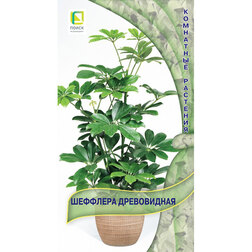 ������ ������ �������� �����������   ����