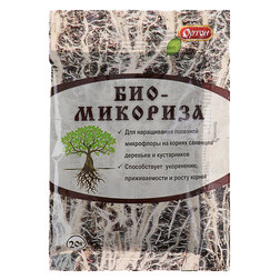 ������ ������ ����������� (20�.)   ����