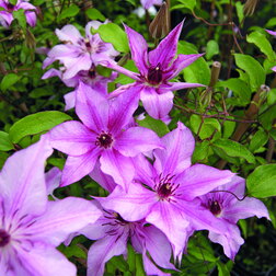 ������ ������ �������� ��������������� ��������   ����