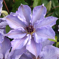 ������ ������ �������� ��������������� ��������   ����