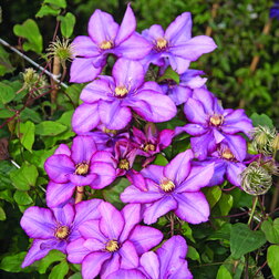 ������ ������ �������� ��������������� ��������   ����