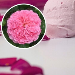 ������ ������ ���� �������� ��� ������� (���������� �����)   ����