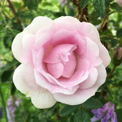 ������ ������ ���� ��������� �������� �������   ����