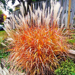 ������ ������ ��������� ��������� ������������   ����