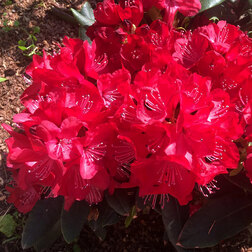 ������ ������ ����������� ��������� ��������� ������   ����