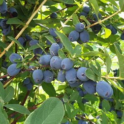 ������ ������ ��������� ��������� ���������� ��������   ����