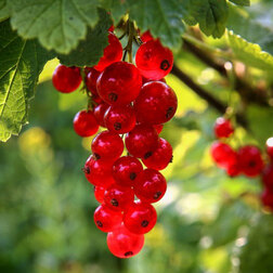 ������ ������ ��������� ������� ��������   ����