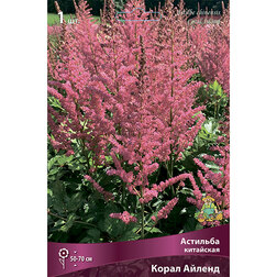 ������ ������ �������� ��������� ����� ������   ����