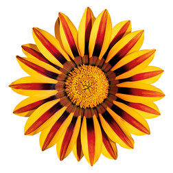 ������ ������ ������� ���� F1 ����� ����� (1��-100��) ���������������� ������   ����