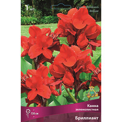 ������ ������ ����� ������������� ���������   ����