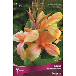 ������ ������ ����� ������������� ������   ����