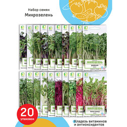 ������ ������ ����� ����� 