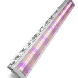 ������ ������ ��������������� FitoLED PROFI 145 Combo (������ ������) 102 ��   ����