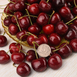 ������ ������ ������� ������� (� �����)   ����