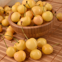 ������ ������ ������� ��������� (� �����)   ����