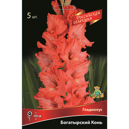 ������ ������ ��������� ����������� ���� (5��.)   ����