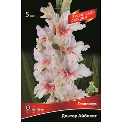 ������ ������ ��������� ������ ������� (5��.)   ����