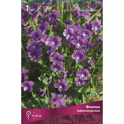 ������ ������ ������ ������������   ����