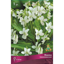 ������ ������ ������ �������������   ����