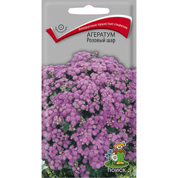 ������ ������ �������� ������� ���   ����