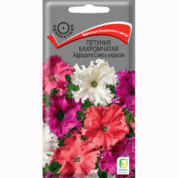 ������ ������ ������� ����������� �������� ����� �������   ����