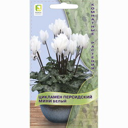 ������ ������ �������� ���������� ���� �����   ����