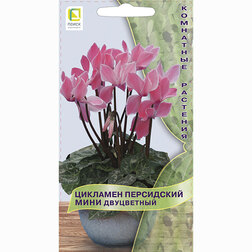 ������ ������ �������� ���������� ���� ����������   ����