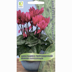 ������ ������ �������� ���������� ���� ���������   ����