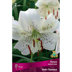 ������ ������ ����� ��������� ���� ������ (2��.)   ����