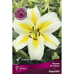 ������ ������ ����� ��-������ ������� (1��.)   ����