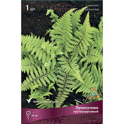 ������ ������ ���������� ��������������   ����